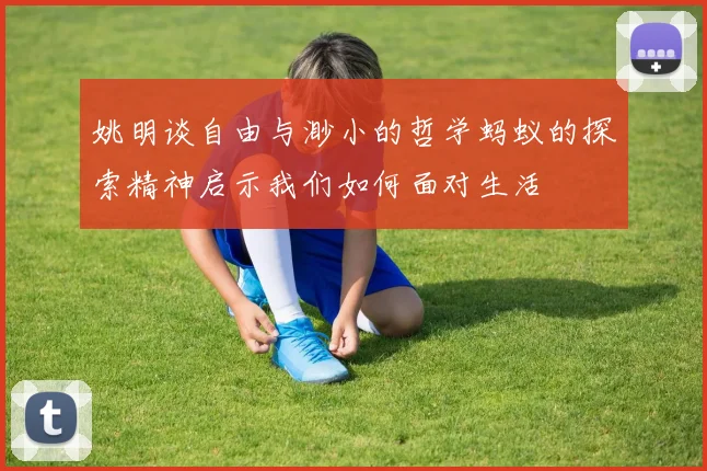 姚明谈自由与渺小的哲学蚂蚁的探索精神启示我们如何面对生活